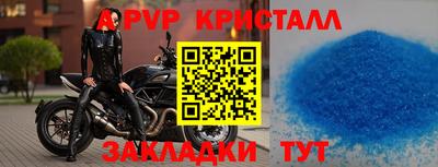 крисы Камышлов