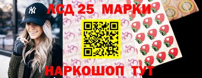 крисы Камышлов