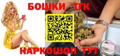крисы Камышлов