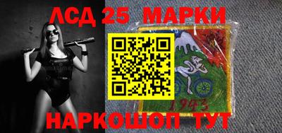 крисы Камышлов