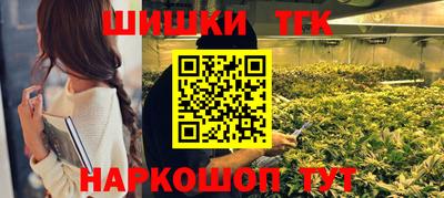 крисы Камышлов