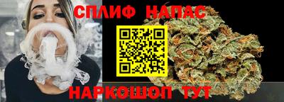 крисы Камышлов