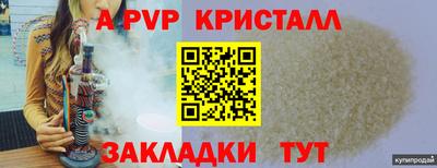 крисы Камышлов